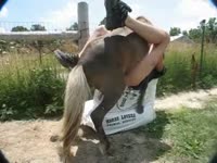 Zoofilia lover gay got banged by horse